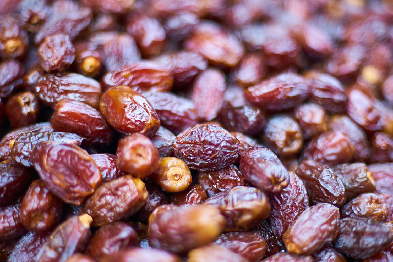 Dates with pits, plump and juicy dates.