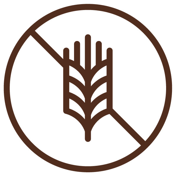 Grain Free Icon. Gluten Free Product Icon